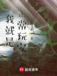 我就是正常玩家!